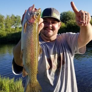 Meet your Posher, Marty